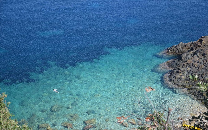 Ristorante, pizzeria e bar su una spiaggia della costa nord