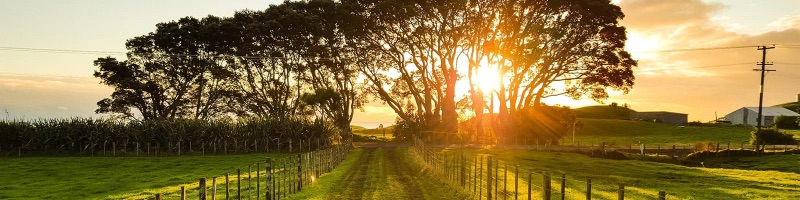 Magazzini di campagna con 2.000 mq di terreno