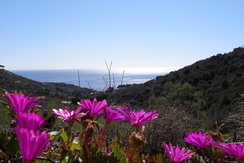 Hotel due stelle con 26 camere vista mare — 2